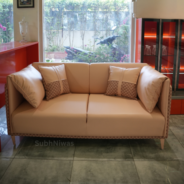 Light Skin Color Sofa and Pillow - Image 2